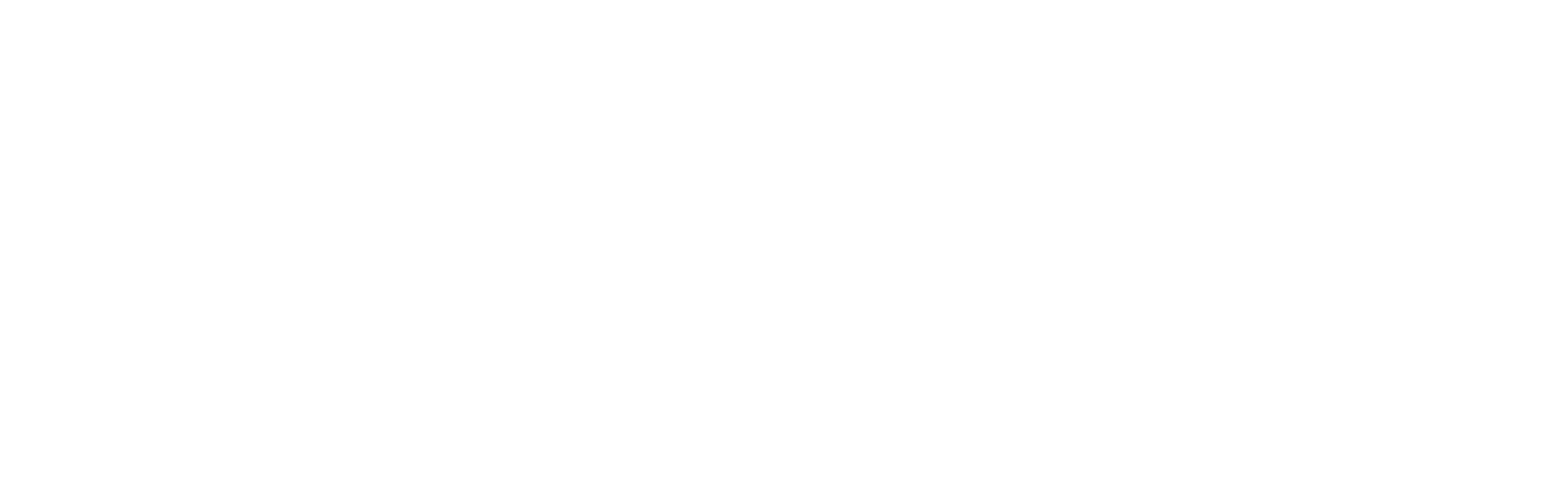 MS Global